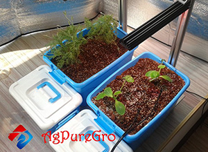 AGPureGro - Easy Home Gardening